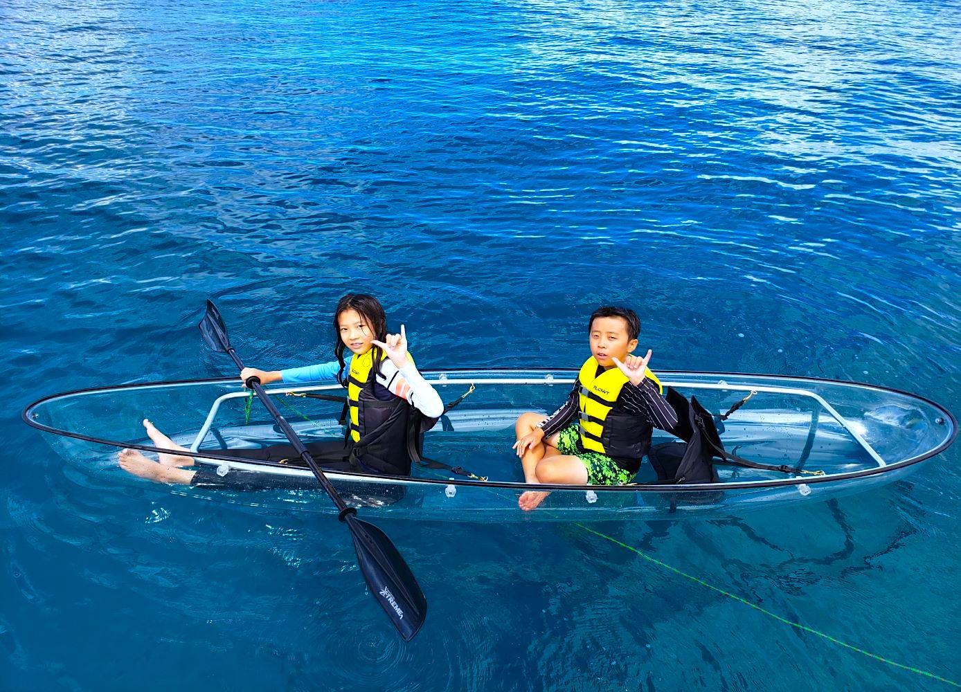 Waikiki Turtle Snorkeling Tour 