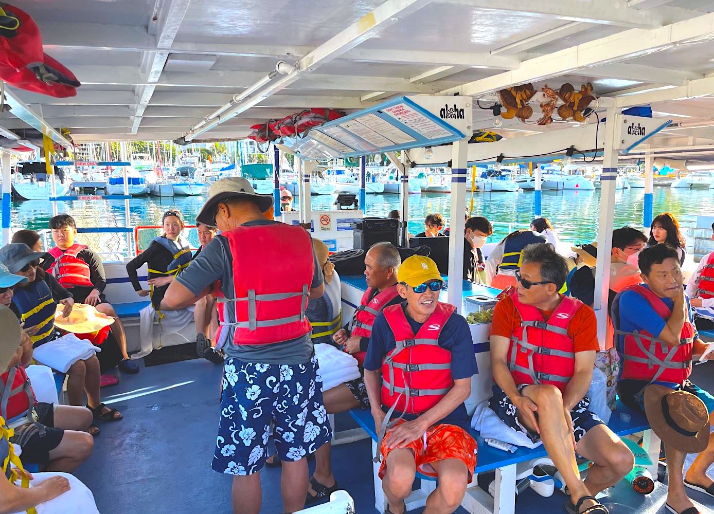 Waikiki Turtle Snorkeling Tour 