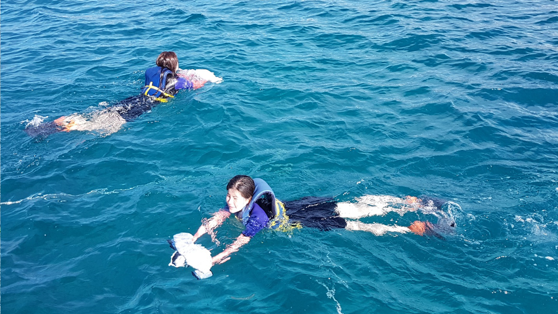 Waikiki Turtle Snorkeling Tour 