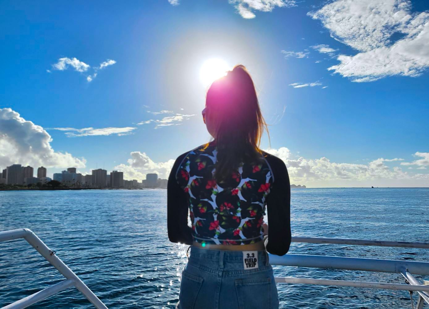 Waikiki Turtle Snorkeling Tour 