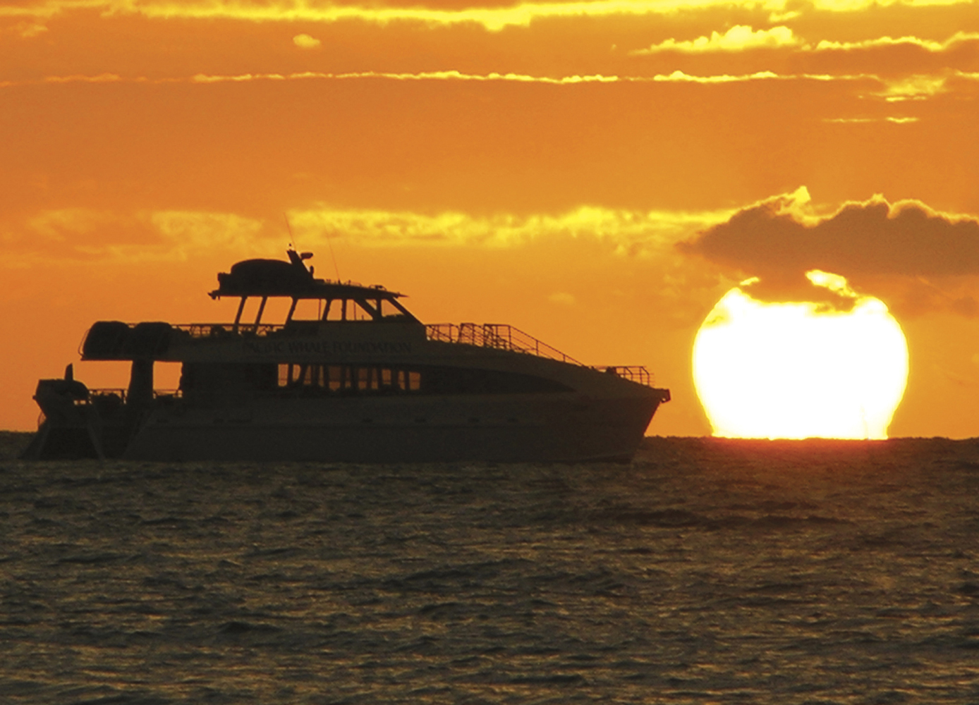 Waikiki Sunset Cruise  